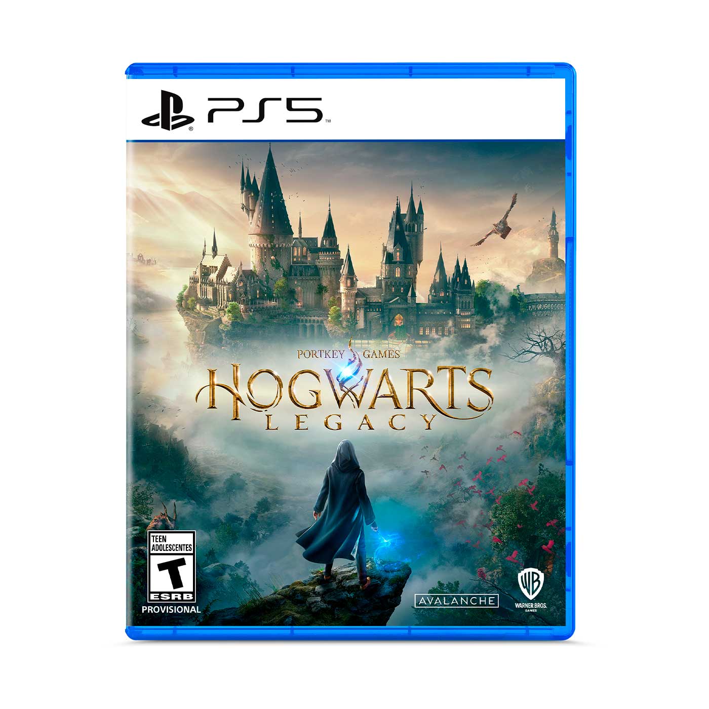 PS5 - Hogwarts Legacy - Fisico - Usado