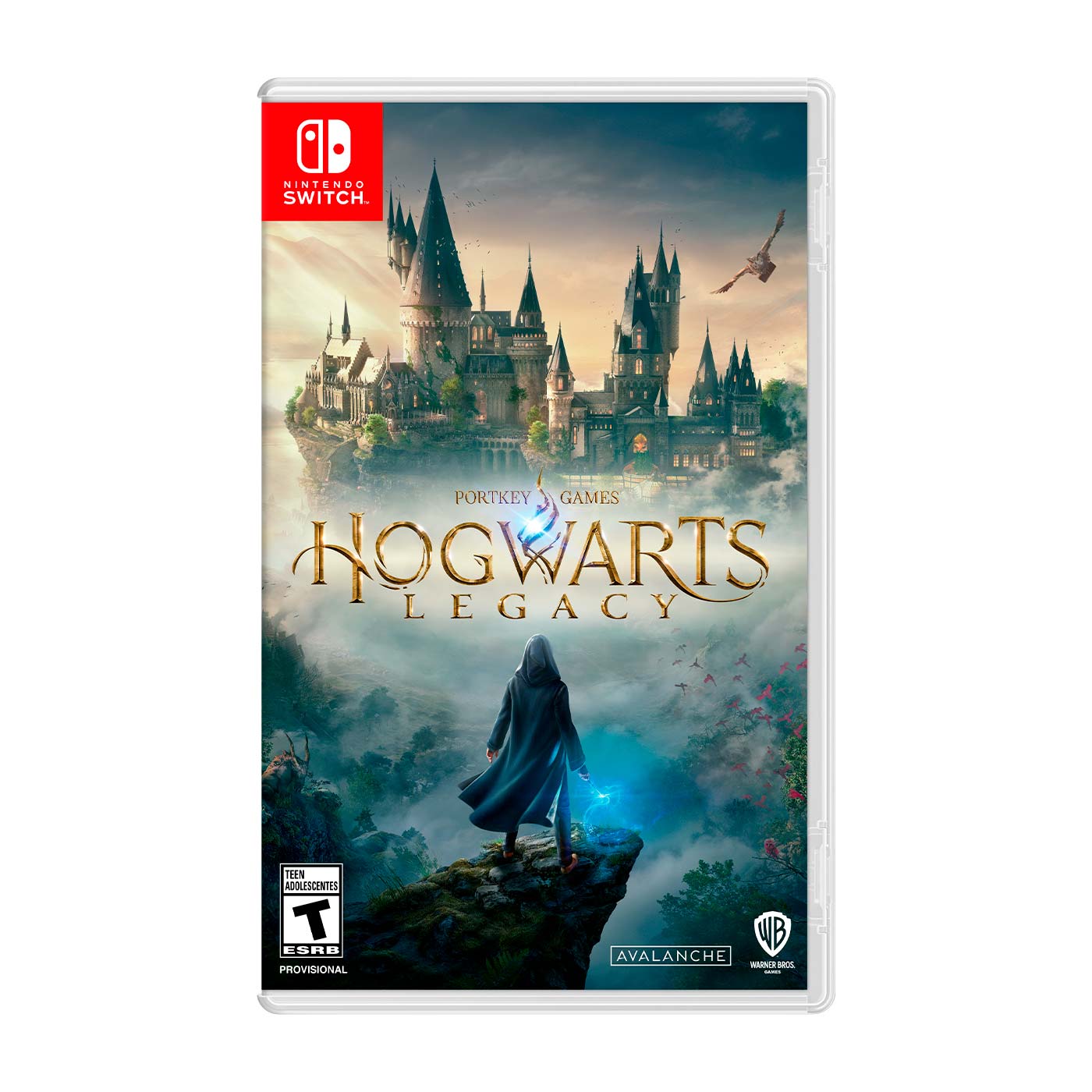 Switch - Hogwarts Legacy - Fisico - Usado